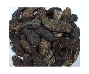 Approvisionnement en vrac de mûres indiennes séchées du Vietnam - Morinda citrifolia, fruits entiers de noni pour ingrédients à base de plantes - Product Image 2