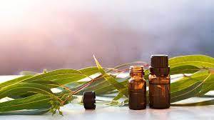 Aceite de eucalipto para el cuidado de la salud - Product Image 6