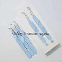 Pinzas para Extensión de Pestañas de Alta Calidad, Diferentes Estilos, Recubrimiento en Polvo Azul Claro con Diseño de Copo de Nieve, Logotipo Personalizado, Instrumento de Belleza