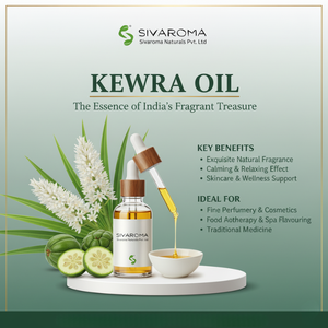 น้ำมันหอมระเหยกลิ่นธูปและน้ำหอมเกรดธรรมชาติใช้สำหรับการจัดหาในอุตสาหกรรม - Product Image 6