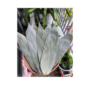 ใบไผ่ธรรมชาติคุณภาพสูงจากเวียดนาม พร้อมส่งออก สำหรับห่อเค้ก วัตถุดิบแห้ง อายุการเก็บรักษา 2 ปี เวียดนาม 99 GD - Product Image 5