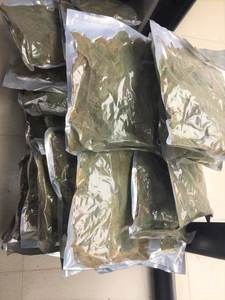 Feuilles de corossol de qualité supérieure 100% biologiques, séchées au soleil, prêtes pour l'exportation mondiale du Vietnam au prix le moins cher - Product Image 5