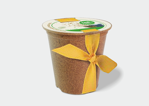 Maceta Duradera Pioneera <span class=keywords><strong>de</strong></span> 10 cm, Macetas Ecológicas Biodegradables para Plantas <span class=keywords><strong>de</strong></span> Interior - Product Image 4