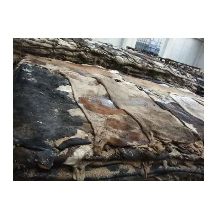 Top Quality Pure Raw Wet Salted and Dried Cow Hides / Skins For Sale At Cheapest Wholesale Price