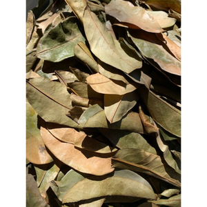 Feuilles séchées de corossol biologique | Feuilles de Graviola de qualité supérieure | Idéal pour le thé au corossol | Sauvage-Récolté naturellement séché - Product Image 5