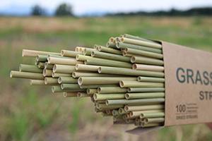 Pajitas de hierba de Vietnam | Pajitas de fibra de bambú biodegradables | Pajitas ecológicas para beber al por mayor - Product Image 3