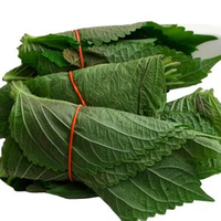 Daun Perilla Segar 100% Alami / untuk Salad dan Hiasan / Dibuat di Vietnam