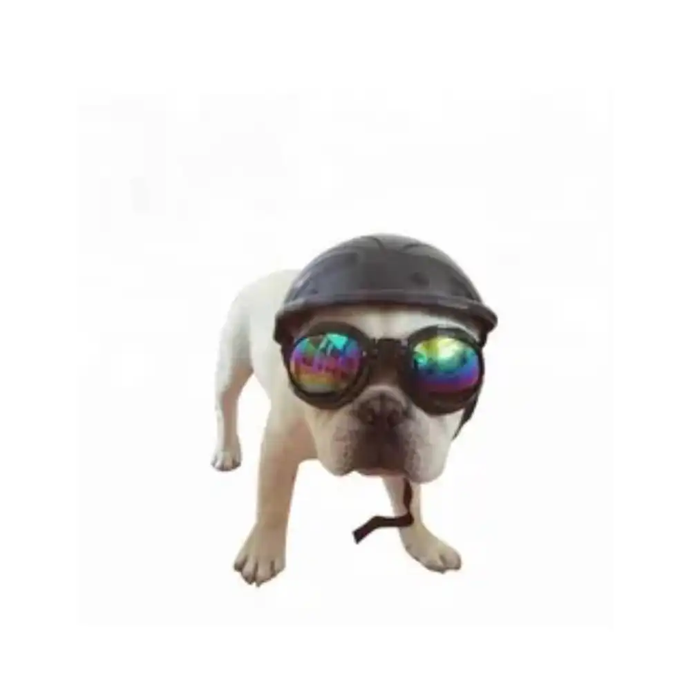 Amazon heißer Verkauf New Arrival Pet Cute Helm schöne Mini-Motorrad kappe Hund Schutzhelm Hut