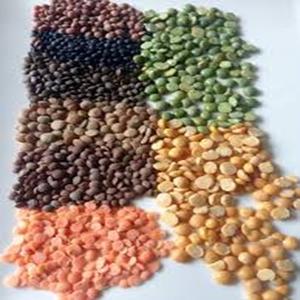 Lentilles jaunes fendues de qualité alimentaire (Moong Dal) prêtes à l'exportation au prix de gros - Product Image 1