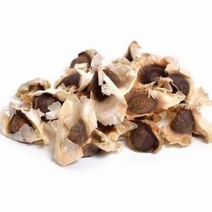 Graines de Moringa Oleifera biologiques de qualité supérieure pour des bienfaits médicinaux et pour la santé au prix d'usine - Product Image 5
