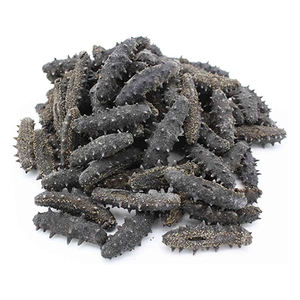 ปลิงทะเลธรรมชาติในรูปแบบแห้งและแช่แข็ง - Product Image 6