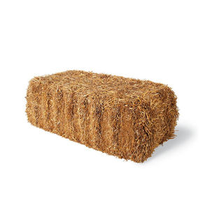 Paille d'orge de qualité supérieure fournie en grande quantité prix discount d'achat en gros - Product Image 5