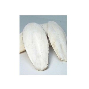 กระดูกปลาหมึกสำหรับสุขภาพนกที่ไว้ใจได้ - Product Image 3