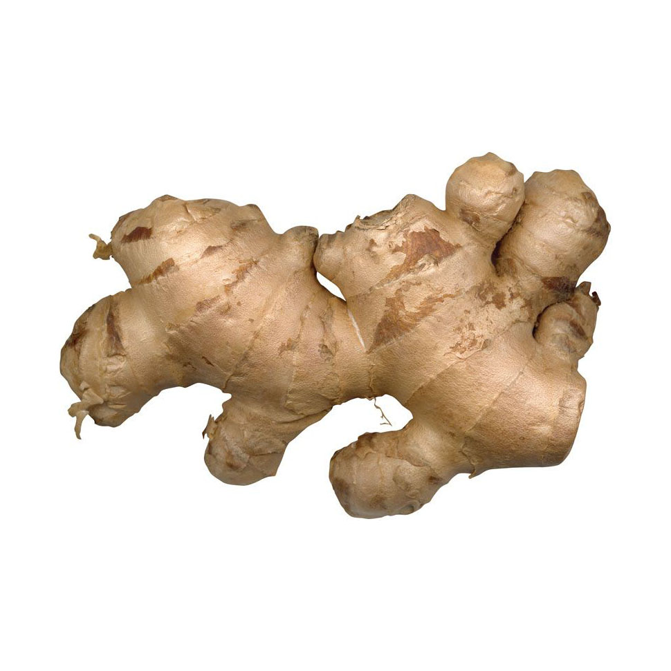 Typical hot spicy oil content 1 To 4% Old Ginger Fresh ginger With Weight 100gr 150gr 200gr 250gr