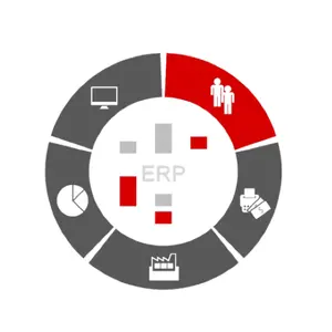 Servicio de personalización de ERP de calidad súper premium Servicios privados diseñados y disponibles a los precios más bajos