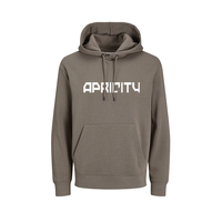 Sweat-shirt à capuche oversize unisexe pour l'hiver, coupe décontractée, épais, streetwear, imprimé numérique, fournisseur OEM en gros