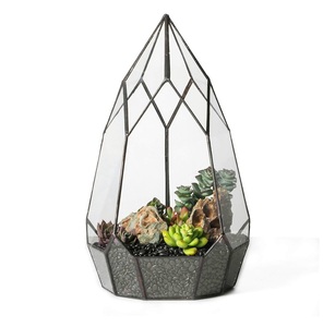 Terrarium en verre Design de luxe Mini jardins géométriques pour les plantes d'air Décoration intérieure Cadeau d'accent de bureau pour les amateurs de plantes. - Product Image 6