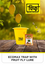 Comax Fruit Fly Lure Phéromone Trap Lutte antiparasitaire efficace pour les infestations de mouches - Product Image 3