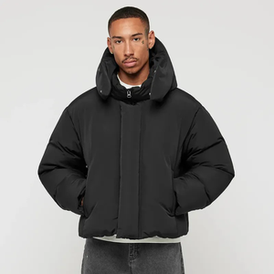 Veste d'hiver matelassée pour homme, streetwear, toile de haute qualité, col montant, imperméable, chaude, veste matelassée à bulles - Product Image 2
