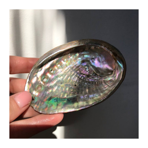 Piedra preciosa brillante pulida de concha de abulón Natural de Vietnam para suministros de joyería, manualidades y decoración con tema oceánico - Product Image 4