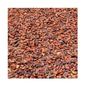 Ca cao đậu giá mỗi kg chất lượng cao nguyên liệu ca cao đậu Ghana Hữu Cơ cacao đậu - Product Image 5