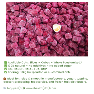 Cubos de Pitaya (Fruta del Dragón) Congelados IQF Naturales y Dulces, Origen Vietnam, a Granel o Envasados al Vacío, Color Rojo - Product Image 6