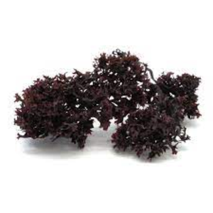 [NUEVA LLEGADA] 100% ORO IRLANDÉS Y MUSGO DEL MAR PÚRPURA SUPLEMENTO PARA EL CUIDADO DE LA SALUD EXPORTACIÓN DE ALGAS DE VIETNAM-PRECIO MÁS BARATO - Product Image 6