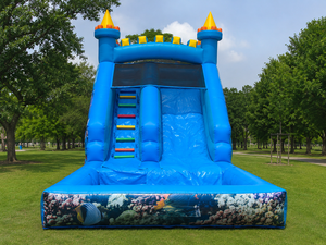 Parque Infantil Inflable Profesional de 6 x 3,5 x 4 m – Tobogán Inflable de PVC – Uso Profesional en Interiores/Exteriores/Agua – Cumple con las Normas de la UE - Product Image 1