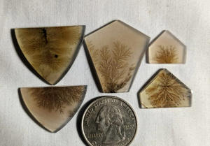 Lote de Cabujones de Ágata Dendrítica de Formas Mixtas, Piedras Preciosas Sueltas Naturales de Color Marrón, 5000 Quilates para la Fabricación de Joyas, Corte Ovalado - Product Image 3