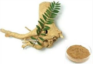 Método salvaje a granel 25Kg Herbal Malasia Extracción solvente Cuidado DE LA SALUD Extracto de planta Tongkat Ali en embalaje de tambor de fibra - Product Image 3