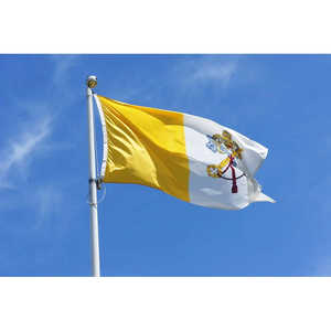 Bandera del Vaticano de 3x5 pies, doble cara, para jardín, católica, para exteriores, con 2 ojales de latón y 4 filas de costuras inferiores - Product Image 1