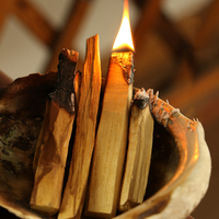 Palo Santo Ecuatoriano Premium al por Mayor: Varillas de Palo Santo de Primera Calidad, de Recolección Sostenible, Provenientes de Ecuador