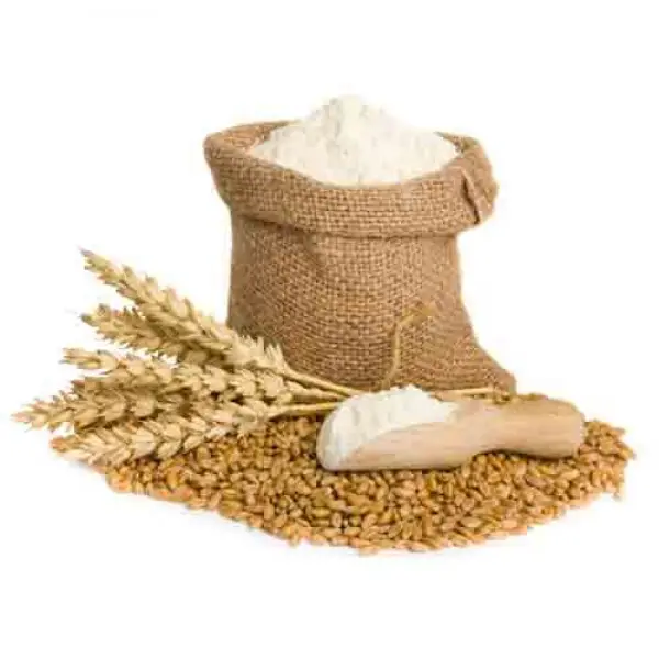 White wheat Flour for all purpose wheat flour in 25kg 50kg bags for sale