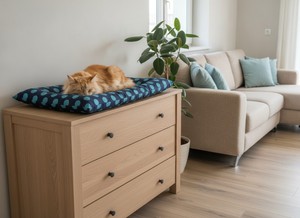 Lit pour animaux de compagnie Amistar en tissu Oxford de luxe 90x60 cm pour chats et chiens de taille moyenne - Product Image 3