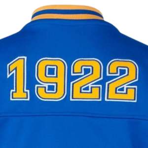 Sigma Gamma Rho SGRho Grec Sororité Bleu Royal Or Football Jersey 100% Polyester Équipe Logo Avant Dos Épaule Broderie - Product Image 5