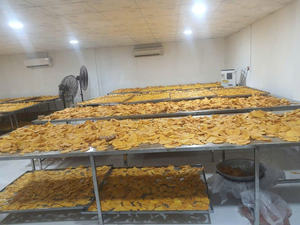 Dulce, Ácido y Picante: Mango Deshidratado con Sal y Chile para Cualquier Antojo - Product Image 4