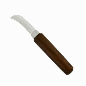 Herramientas de laboratorio quirúrgico Dental ortopédico profesional, cuchillo de cera de acero inoxidable duradero, mango de madera, equipo atlético IFM - Product Image 6