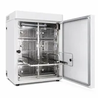 Inkubator Co2 termostatik laboratorium efisiensi tinggi inkubator Filter karbon dioksida budaya sel sel