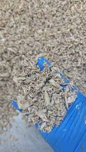 Filet <span class=keywords><strong>de</strong></span> <span class=keywords><strong>thon</strong></span> skipjack unique, 10% <span class=keywords><strong>de</strong></span> flocons, qualité sushi, poisson précuit congelé, flocons <span class=keywords><strong>de</strong></span> bonite, 3 kg pour la mise en <span class=keywords><strong>conserve</strong></span>, marque HUANGDA, 24 - Product Image 6