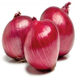 Oignon rouge égyptien frais à vendre - Product Image 1