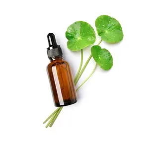 Best Offers Organically Made Gotu Kola Extract Oil with Customized Size Packing For Sale By Indian Exporters