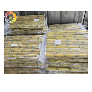 Paquete a granel de caña de azúcar congelada para fábricas de bebidas IQF Barra de caña de azúcar congelada sin conservantes - Product Image 4