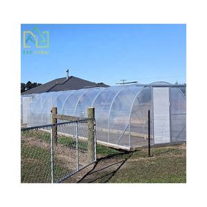 <span class=keywords><strong>Serre</strong></span> <span class=keywords><strong>de</strong></span> jardin en polycarbonate à double porte, résistante et tout temps, kit <span class=keywords><strong>de</strong></span> <span class=keywords><strong>serre</strong></span> <span class=keywords><strong>de</strong></span> jardin en polycarbonate - Product Image 2