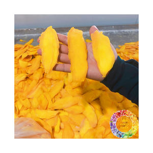 Mango Deshidratado Suave de Vietnam, Snack Tropical Natural con Sabor Dulce para Exportación, Venta al por Mayor, Empaque OEM, Proveedor de Mango Deshidratado Suave - Product Image 1