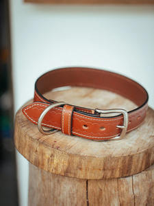 Collar de perro Rancher negro de lujo de 38mm-Producto de caballo Premium - Product Image 6