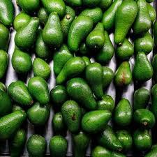 Aguacate Hass Fresco para Exportación con el Mejor Precio y Alto Estándar de Calidad - Product Image 6