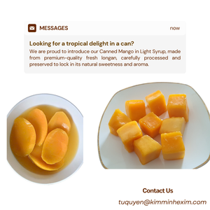 Kmi น้ำเชื่อมกระป๋อง3กก. แบรนด์พรีเมี่ยมจากเวียดนามอายุ24เดือน100% มะม่วงสด - Product Image 3