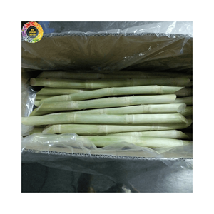 Palitos de caña de azúcar congelados de alta calidad de Vietnam para exportación: palitos de caña de azúcar pelados de alta calidad y al mejor precio - Product Image 3