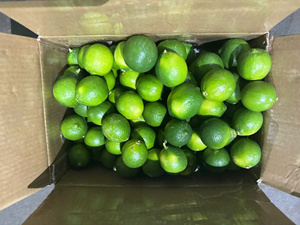 Citrons verts sans pépins du Vietnam : saveur fraîche, forte teneur en jus, taille uniforme, prix compétitif, approvisionnement mondial fiable, livraison en 45 jours - Product Image 2