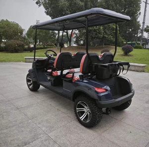 2025 4 Seats <b>Gasoline</b> Powered Industrial Grade DIY OEM/ODM Customization Golf Cart with 3-Year Warranty - Product Image 3